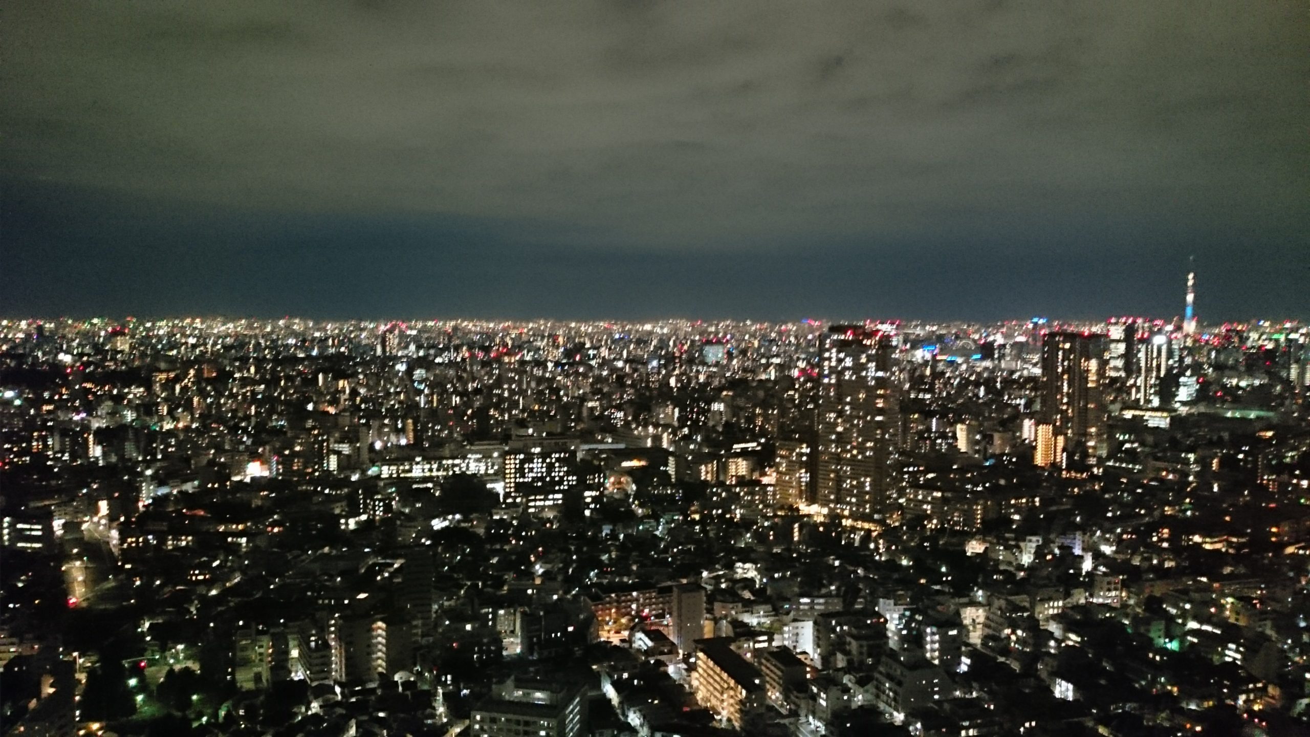 セールスアドバイザー